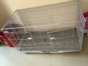 اكسسوارات حيوانات