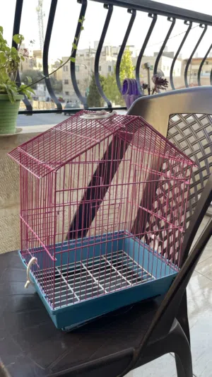 قفص طيور و هامستر و بط صغير مستخدم للبيع