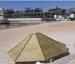 معرشات قصيب