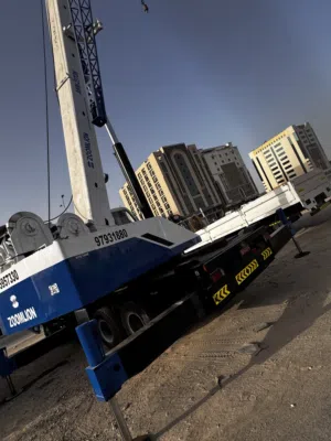 25 ton Mobile Crane