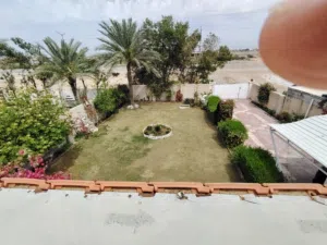 قطعة ارض زراعية مع منزل (سند 25)