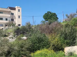 أجمل مناطق عمان الغربية بدر الجديده الرباحية الجنوبية