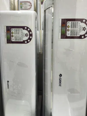 Fresh Condition & Good Quality