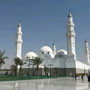 محمد أحميدة محمد 