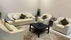 Leather Sofa Set for Sale