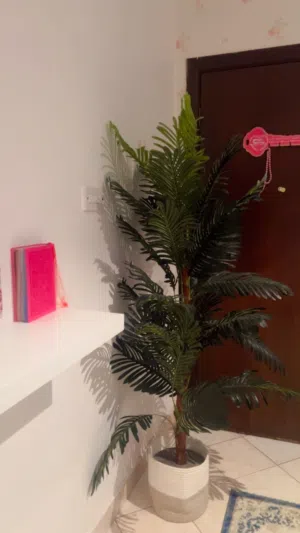 شجرة كبيرة مع الكوڤر تبعها للبيع الاوراق صناعيه