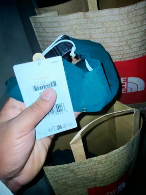 THE NORTH FACE