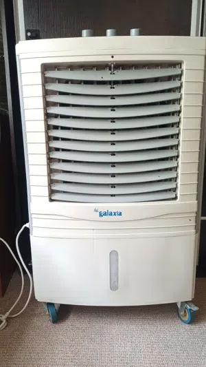 صحراوي للبيع