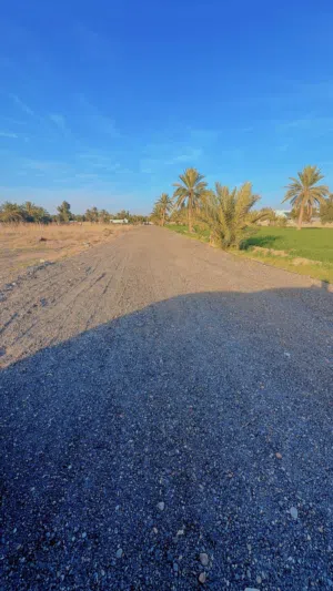 دونم زراعي