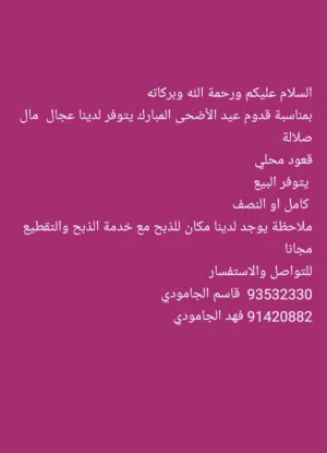 السلام عليكم ورحمة الله وبركاته بمناسبة قدوم عيد الأضحى المبارك يتوفر لدينا عجال مال صلالة قعود مح