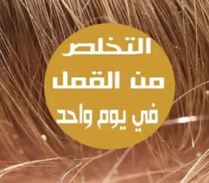 مستحضر زيتي ممزوج بالأعشاب والنباتات الطبيعية لعلاج القمل والصيبان مضمون ومجرب بنسبة 100٪