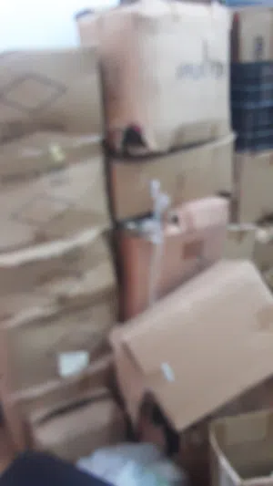 بضع الرخص كززين