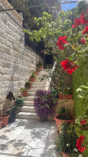 Furnished Monthly in Amman University Street