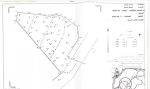 إعلان بيع أرض في منطقة وادي المسلم / الكركفة - بيت لحم