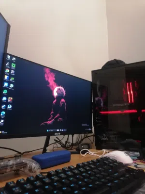 DFI24100 gaming monitor 24 inch