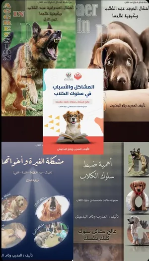 Training And Taming . Dog Training2