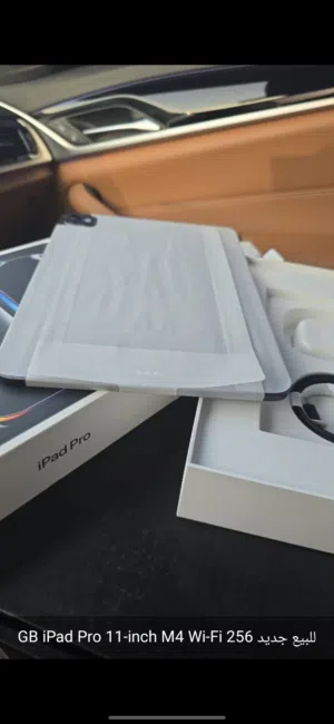 GB iPad Pro 11-inch M4 Wi-Fi 256 g
