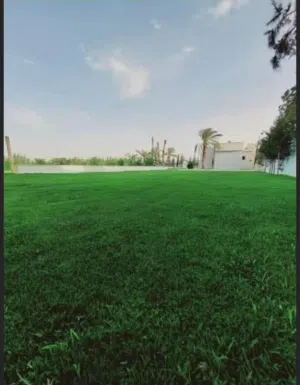 قطعة 1000متر