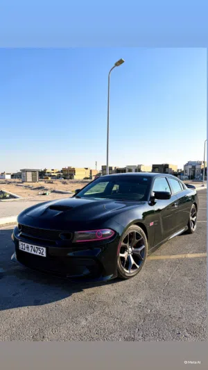 جاجر Rt 2017