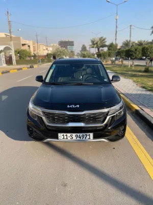 سيلتوس EX 2022