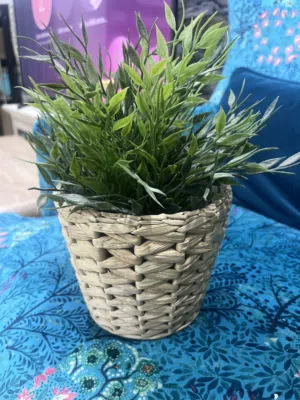 IKEA FEJKA artificial potted plant هذه النبتة الاصطناعية هي نبتة FEJKA (فيكا)  من ايكيا بامبو مندلي،