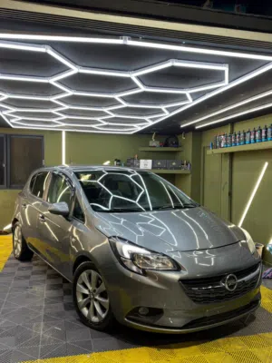 اوبل كوسا 2018/17