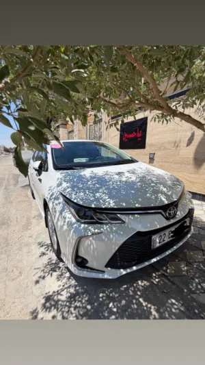 New Toyota Corolla in Basra