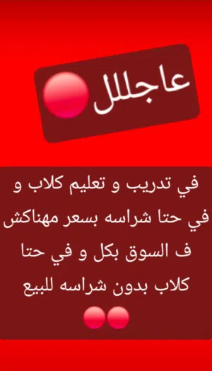 لتدريب الكلاب و في حتا تتعيطم