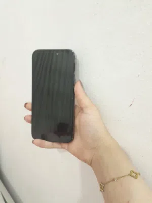 Apple iPhone 14 Pro Max 256 GB in Irbid