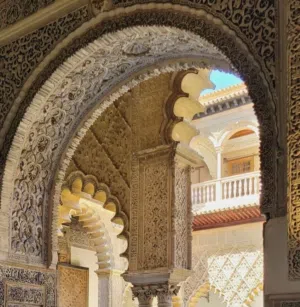 Mohammed الأستثمار