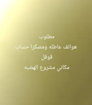 Others Not Defined Other in Tripoli