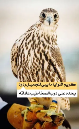 أستغفر الله و الحمدلله El