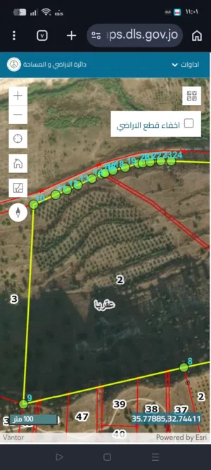 Farm Land for Sale in Irbid Other