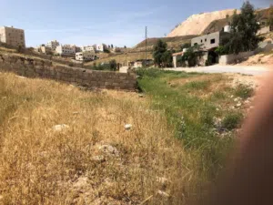 Residential Land for Sale in Amman Tabarboor