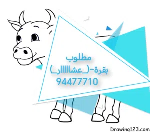 مطلوب بقرة عشار بارخص سعر التواصل مع الرقم الي في الصورة