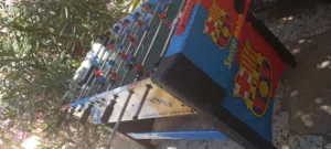 جاطوني للبيع