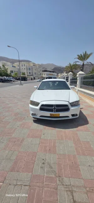 Dodge 2011 model