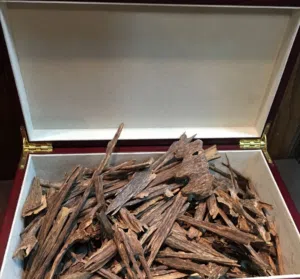 الجودة والريحة 