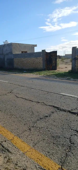 قطع ارض في بئر حسن