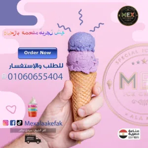 توريد جالونات آيس كريم