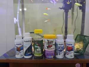 fish tank with all accessories and fishes