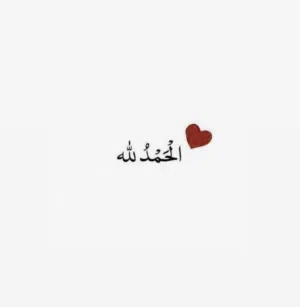 wed Alhamrashdy