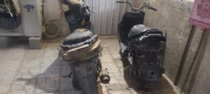 سكنس 140 شمعة فحل فضائي 140 فحل شغالات