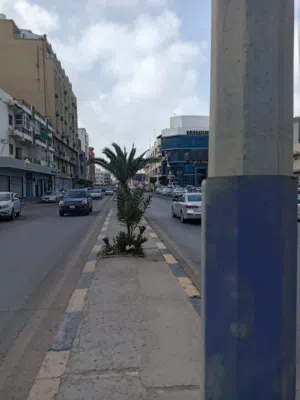 Commercial Land for Sale in Tripoli Al-Nofliyen