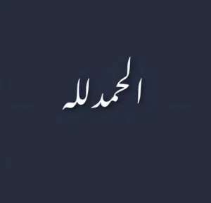 Moh7moud Almayrt 