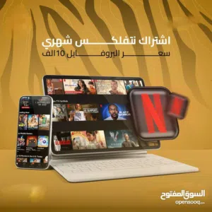 Netflix Accounts and Characters for Sale in Basra