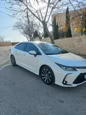 Used Toyota Corolla in Ramallah and Al-Bireh
