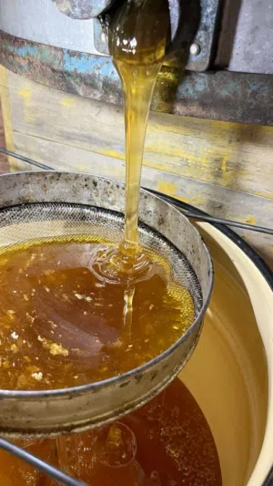 عسل بلدي اصلي ميه ميه