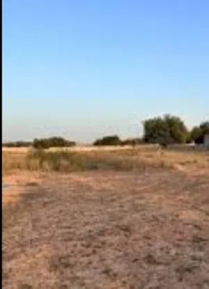 Farm Land for Rent in Tripoli Wadi Al-Rabi