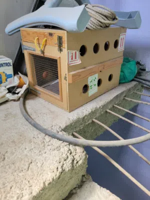 بيت للقطط للكلاب